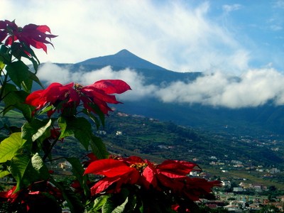 Teneriffa - Valle de la Orotava 