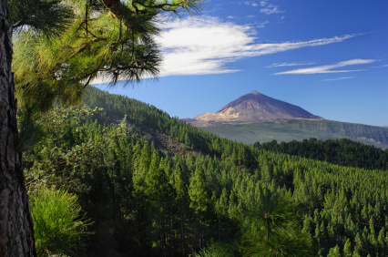 Der Teide und das Orotavatal auf Teneriffa
